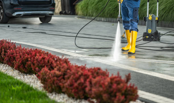 Best Fence Cleaning and Maintenance in Rochester, WI